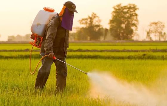 Best Pesticides from agricultural products dealer in Sehore Bhopal - KRISHI BHAWAN